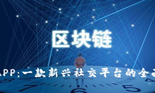 狐狸APP：一款新兴社交平台的全面解析