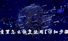 小狐狸钱包重置怎么恢复使用？详细步骤与注意