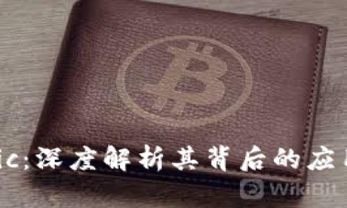 小狐狸 Matic：深度解析其背后的应用与未来发展