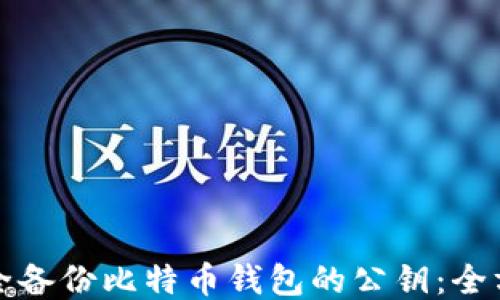
如何安全备份比特币钱包的公钥：全方位指南