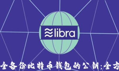 
如何安全备份比特币钱包的公钥：全方位指南