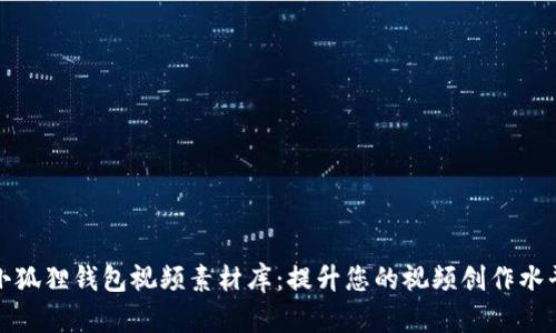 小狐狸钱包视频素材库：提升您的视频创作水平