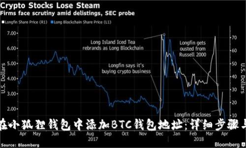 如何在小狐狸钱包中添加BTC钱包地址：详细步骤与技巧