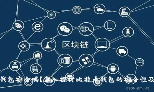 存比特币钱包安全吗？深入探讨比特币钱包的安全性及使用建议