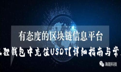 如何在小狐狸钱包中充值USDT？详细指南与常见问题解答