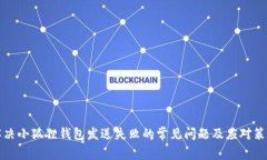 解决小狐狸钱包发送失败的常见问题及应对策略