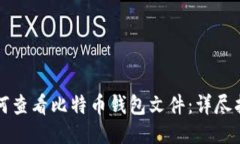 如何查看比特币钱包文件：详尽指南