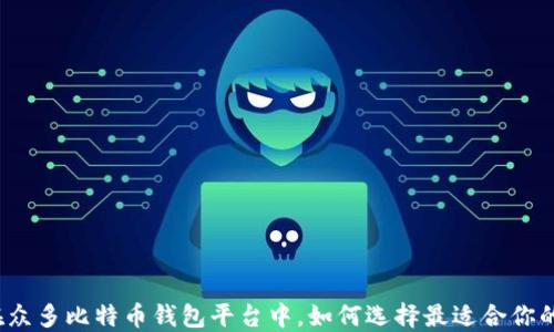 
在众多比特币钱包平台中，如何选择最适合你的？