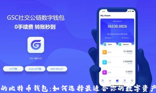 
比较安全的比特币钱包：如何选择最适合你的数字资产保护方案