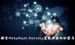 深入探索MetaMask：Burning荒软件园的秘密与机遇