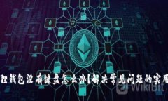 小狐狸钱包没有键盘怎么办？解决常见问题的实