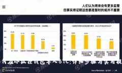 如何在小狐狸钱包导入BTC：详细步骤与实用提示