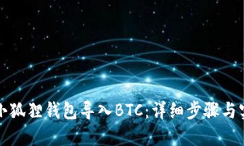 如何在小狐狸钱包导入BTC：详细步骤与实用提示