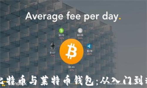 
如何安全存放比特币与莱特币钱包：从入门到精通的完整指南