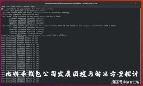 比特币钱包公司发展困境与解决方案探讨