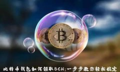 比特币钱包如何领取BCH：一步步教你轻松搞定