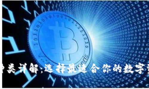 比特币钱包种类详解：选择最适合你的数字资产储存方式