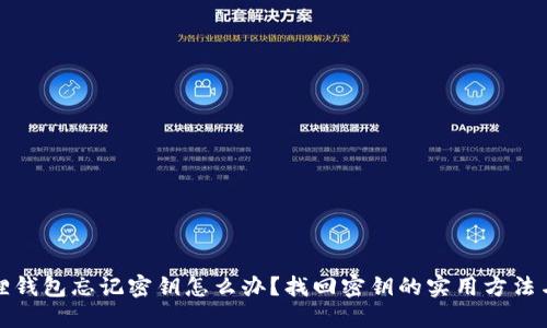小狐狸钱包忘记密钥怎么办？找回密钥的实用方法与建议