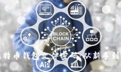 如何安全管理比特币钱包文件密码：从新手到高