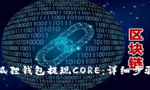 如何通过小狐狸钱包提现CORE：详细步骤与注意事项