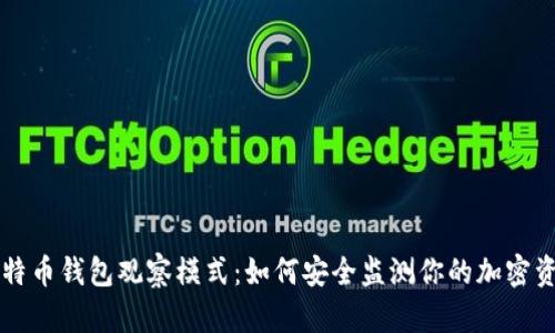 比特币钱包观察模式：如何安全监测你的加密资产