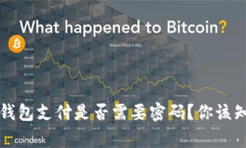 比特币轻钱包支付是否需要密码？你该知道的事情