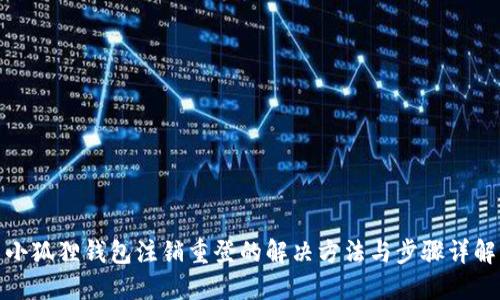 小狐狸钱包注销重登的解决方法与步骤详解