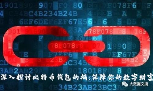 深入探讨比特币钱包的熵：保障你的数字财富