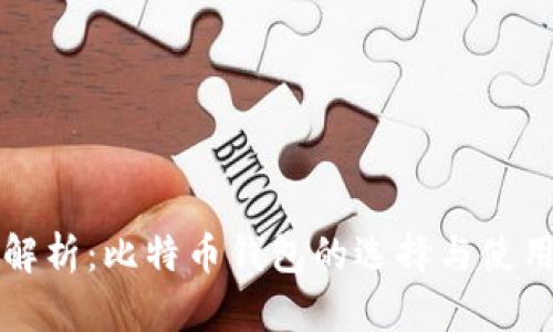 深度解析：比特币钱包的选择与使用指南