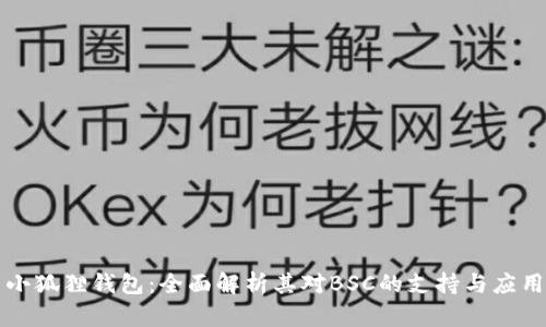 小狐狸钱包：全面解析其对BSC的支持与应用