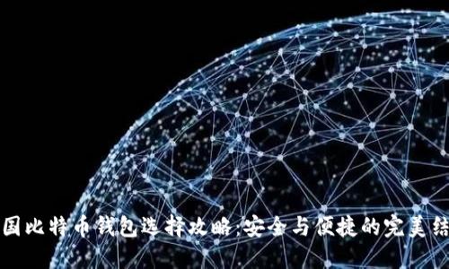 中国比特币钱包选择攻略：安全与便捷的完美结合