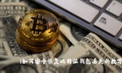 াইনাসi如何安全恢复比特派钱包丢失的数字