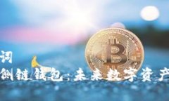 优秀和关键词  探索比特币侧链钱包：未来数字资