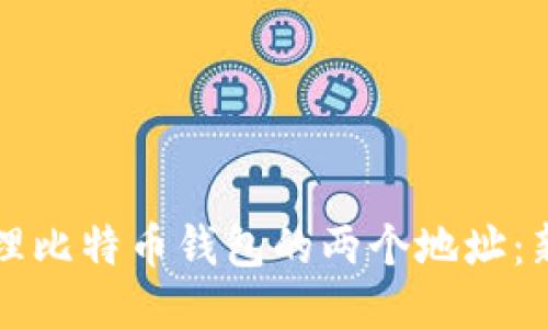 如何安全管理比特币钱包的两个地址：新手必读指南