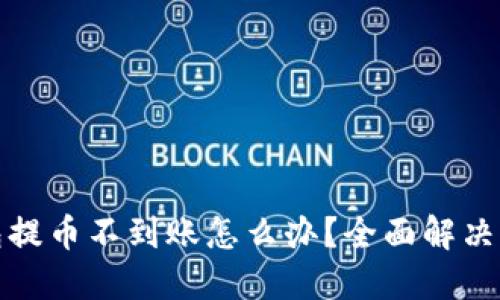 小狐狸钱包提币不到账怎么办？全面解决方案与建议