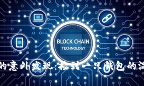 小狐狸的意外发现：捡到一只钱包的温暖故事