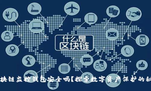 区块链监控钱包安全吗？探索数字资产保护的秘诀
