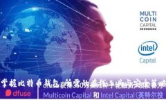 掌握比特币钱包：所需的在线工具与安全策略