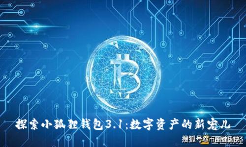 探索小狐狸钱包3.1：数字资产的新宠儿