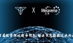 如何有效管理比特币钱包：解决钱包数据过大的