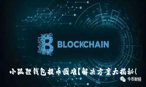 小狐狸钱包提币困难？解决方案大揭秘！