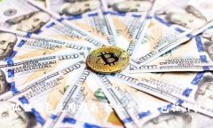 小狐狸钱包使用指南：轻松掌握钱包操作技巧