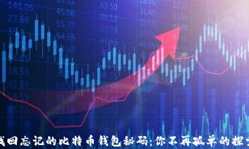 
如何找回忘记的比特币钱包秘码：你不再孤单的探索之旅