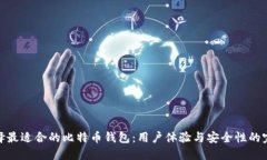如何选择最适合的比特币钱包：用户体验与安全