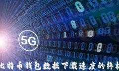 提高比特币钱包数据下载速度的终极指南