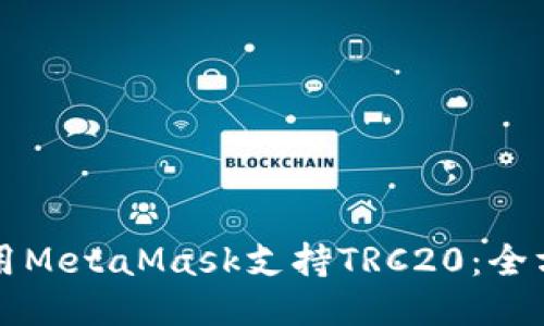 如何使用MetaMask支持TRC20：全方位指南