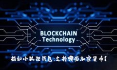 揭秘小狐狸钱包：支持哪些加密货币？