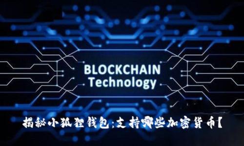 揭秘小狐狸钱包：支持哪些加密货币？