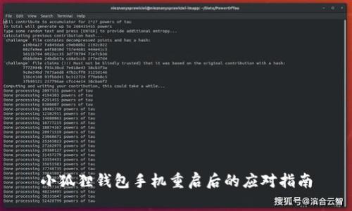 小狐狸钱包手机重启后的应对指南