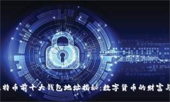 2023年比特币前十大钱包地址揭秘：数字货币的财